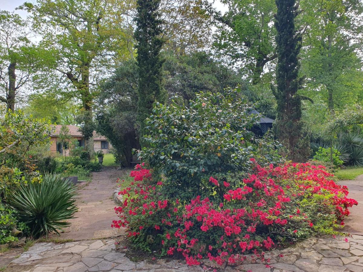 Manoir De Tireveste Lesperon  Exterior photo